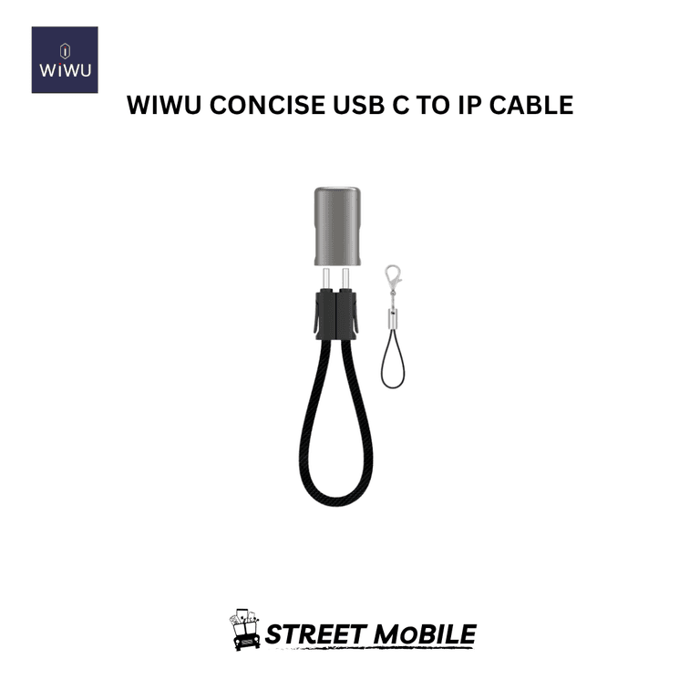 WIWU CONCISE C-L TARNISH CABLE